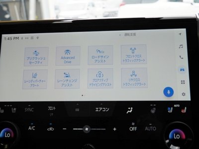 2023 TOYOTA ALPHARD 缩略图 60