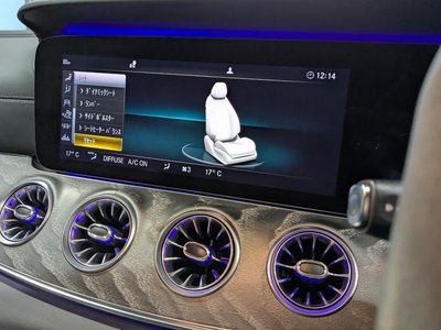 2019 Mercedes-BENZ GT AMG 缩略图 28