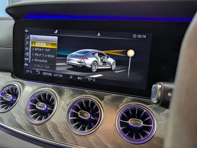 2019 Mercedes-BENZ GT AMG 缩略图 30