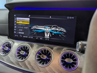 2019 Mercedes-BENZ GT AMG 缩略图 29