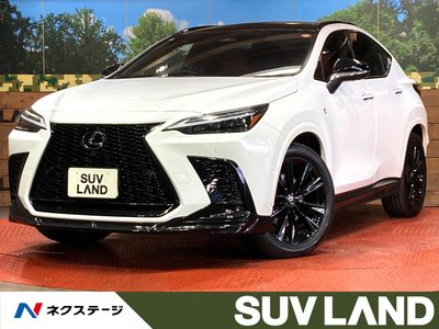 LEXUS NX - 1