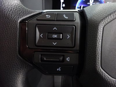 2024 Toyota LAND CRUISER 250 缩略图 13