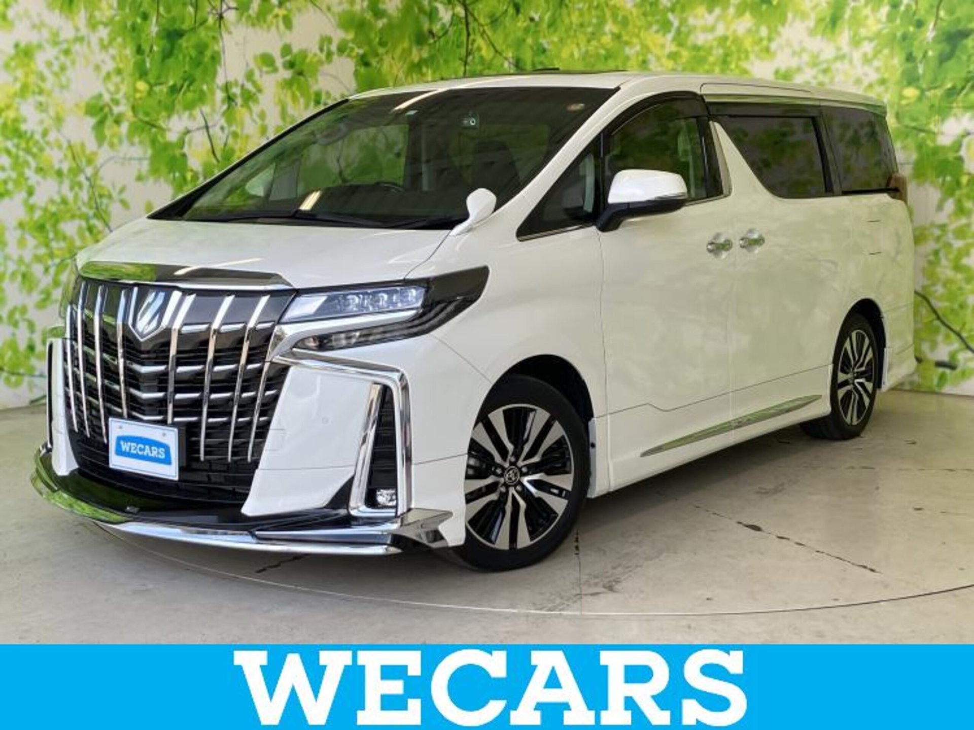 TOYOTA ALPHARD - View 1