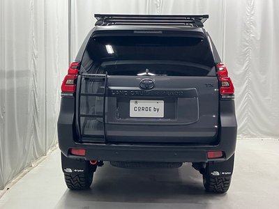 TOYOTA LAND CRUISER PRADO - 10