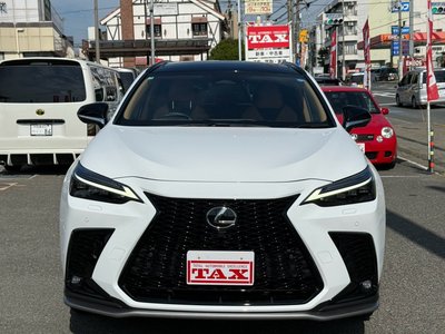 2025 Lexus NX — миниатюра 16