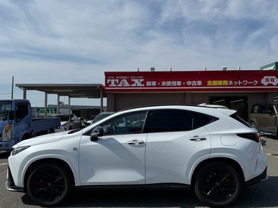 2025 Lexus NX — миниатюра 19
