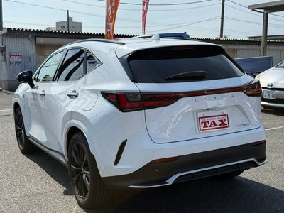 2025 Lexus NX — миниатюра 22