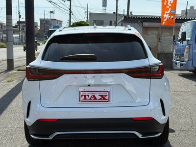 2025 Lexus NX — миниатюра 17