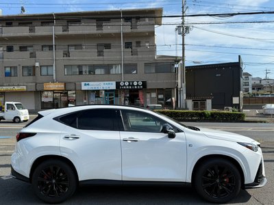 2025 Lexus NX — миниатюра 20