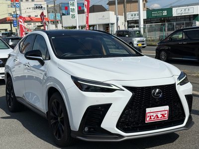 2025 Lexus NX — миниатюра 21