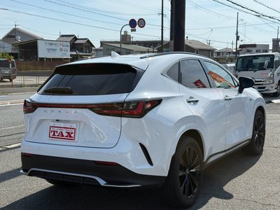 2025 Lexus NX — фото 2