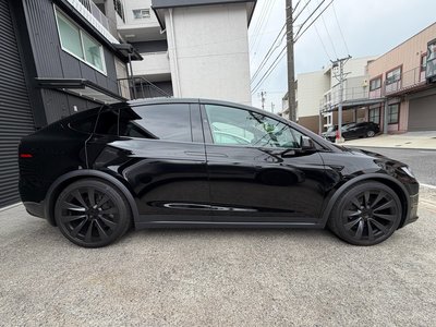 TESLA MODEL X - 10