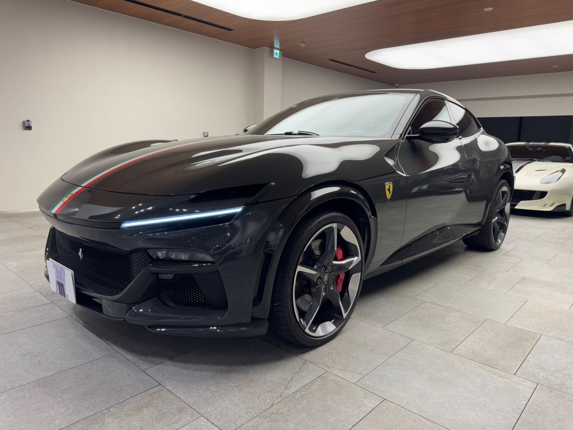 FERRARI PUROSANGUE - View 1