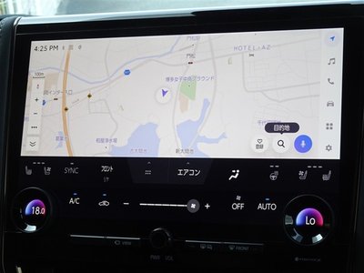 2024 Toyota ALPHARD 照片 6