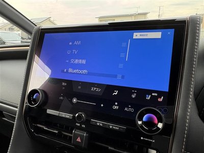2025 TOYOTA ALPHARD 缩略图 14