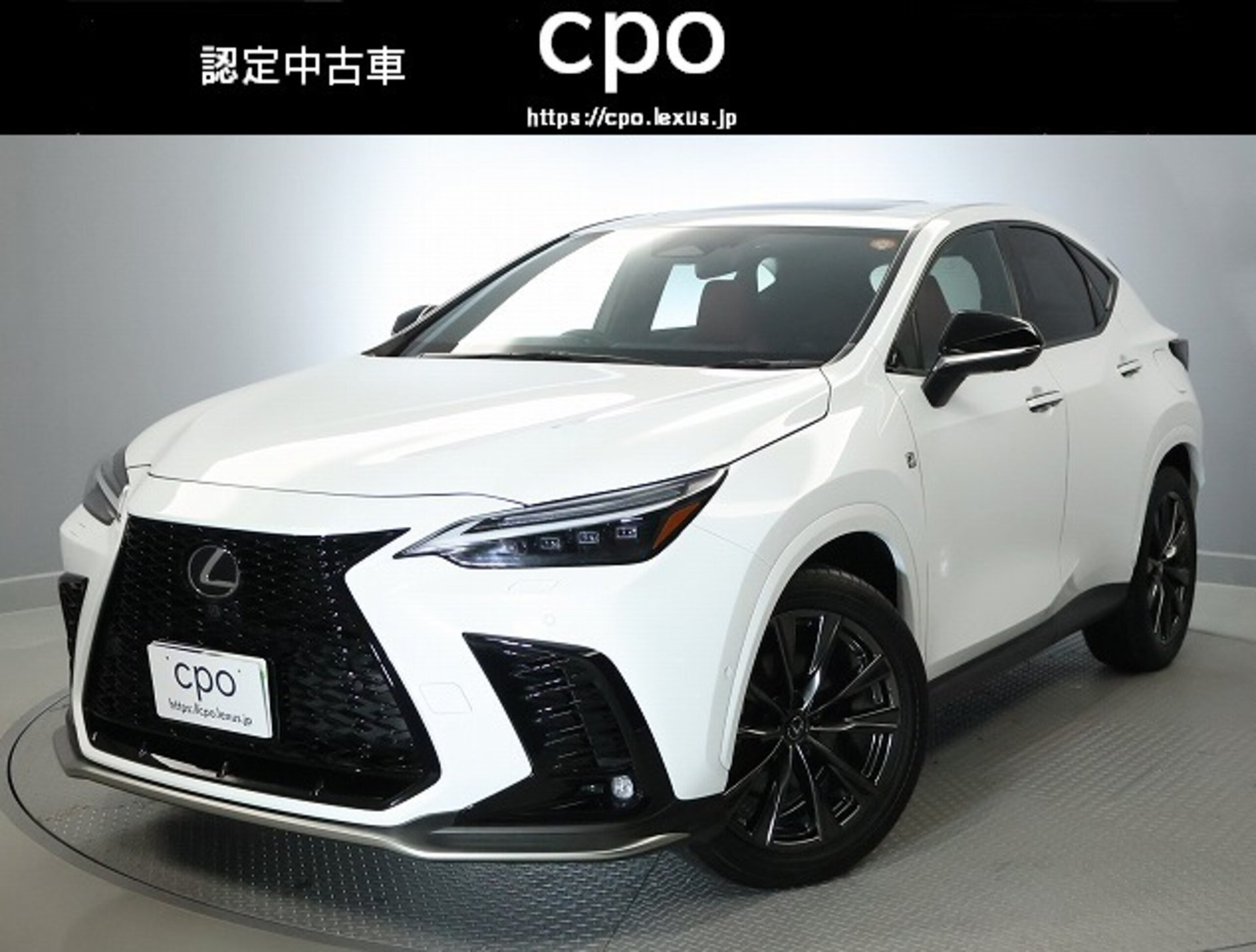 LEXUS NX - View 1