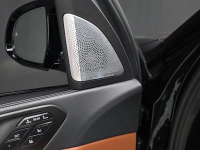 2025 BMW X7 缩略图 30
