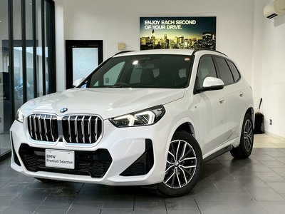 BMW X1 - 1