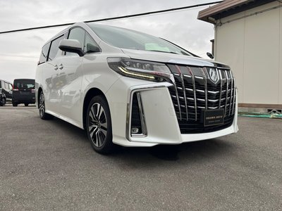 TOYOTA ALPHARD - 8