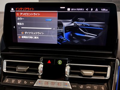 2023 BMW 8 SERIES 缩略图 64