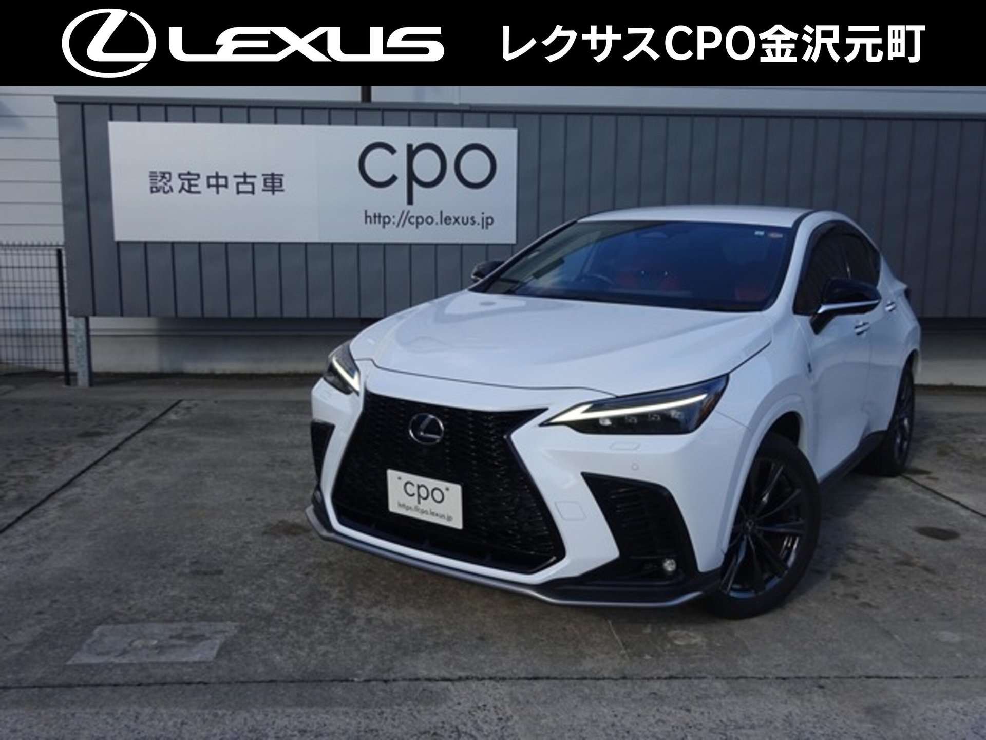 LEXUS NX - View 1