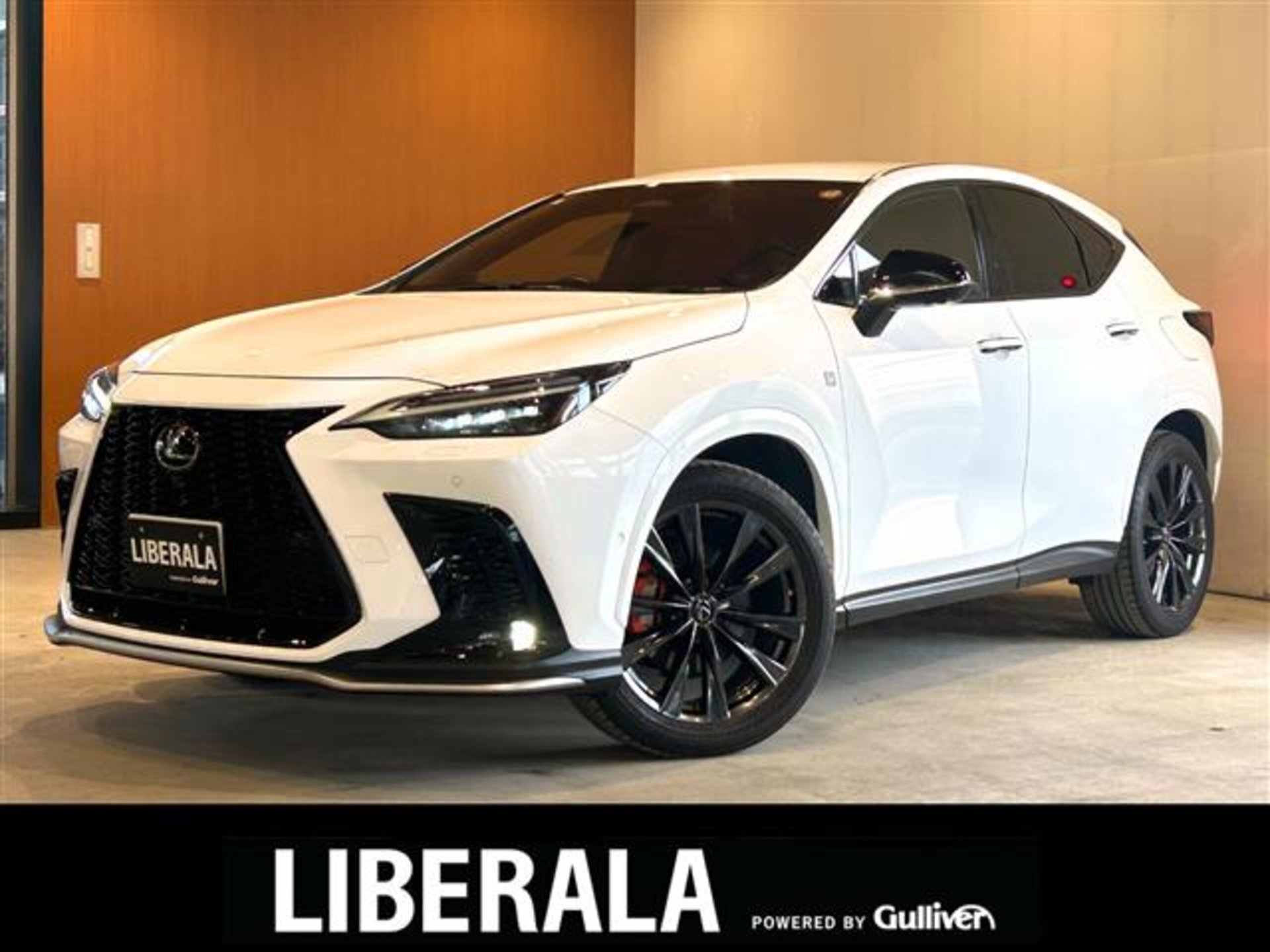 LEXUS NX - View 1