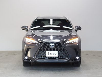 LEXUS NX - 7
