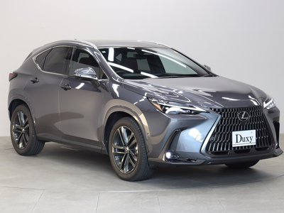 LEXUS NX - 10