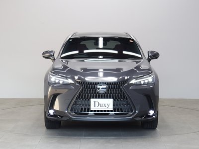 LEXUS NX - 3