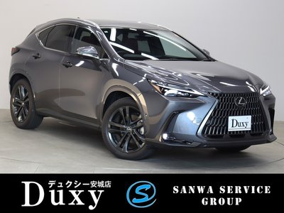 LEXUS NX - 1