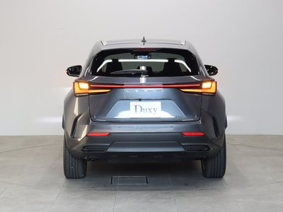 LEXUS NX - 8