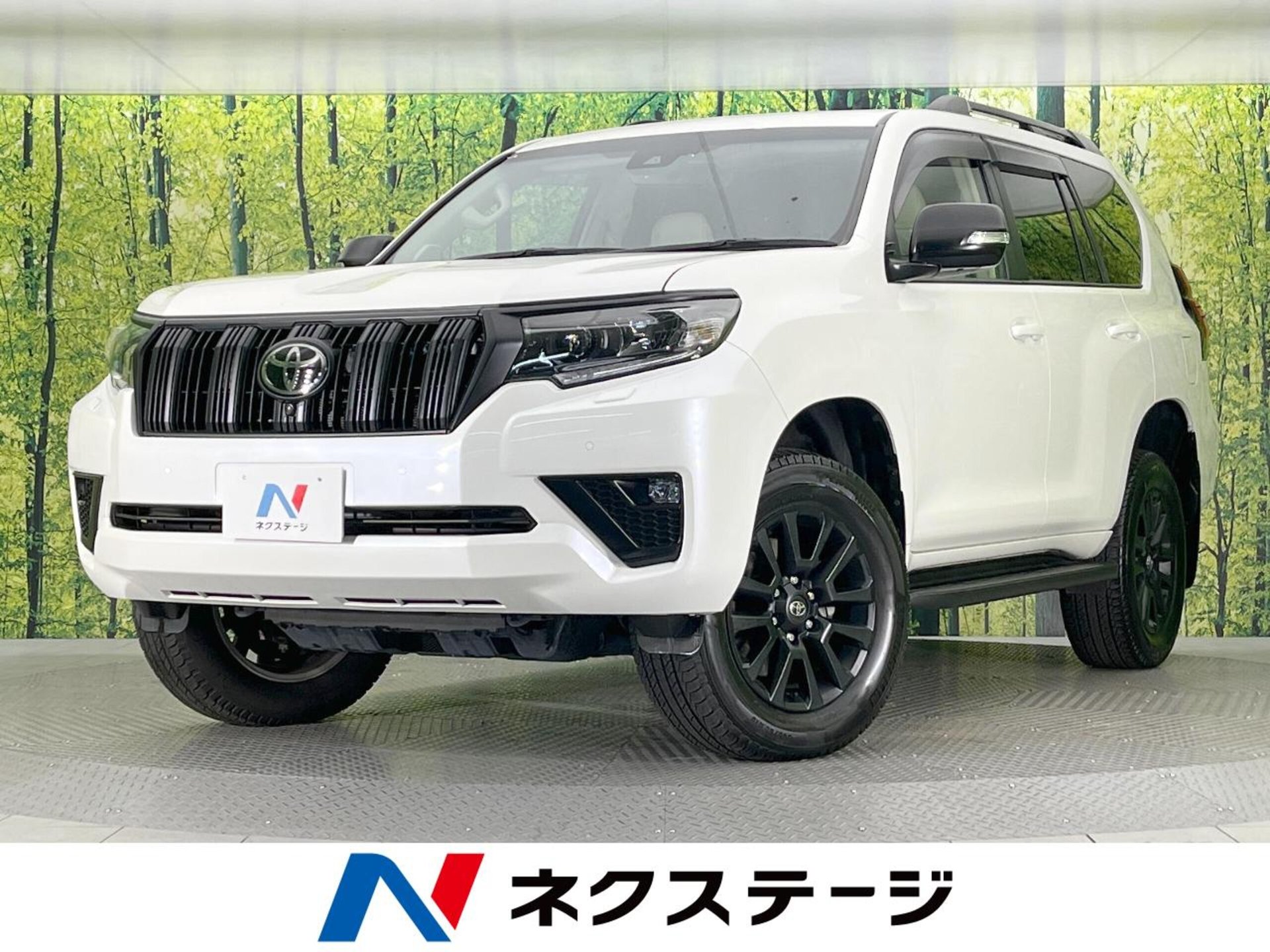 TOYOTA LAND CRUISER PRADO - View 1