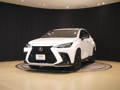 LEXUS NX - 1