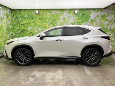 LEXUS NX - 2
