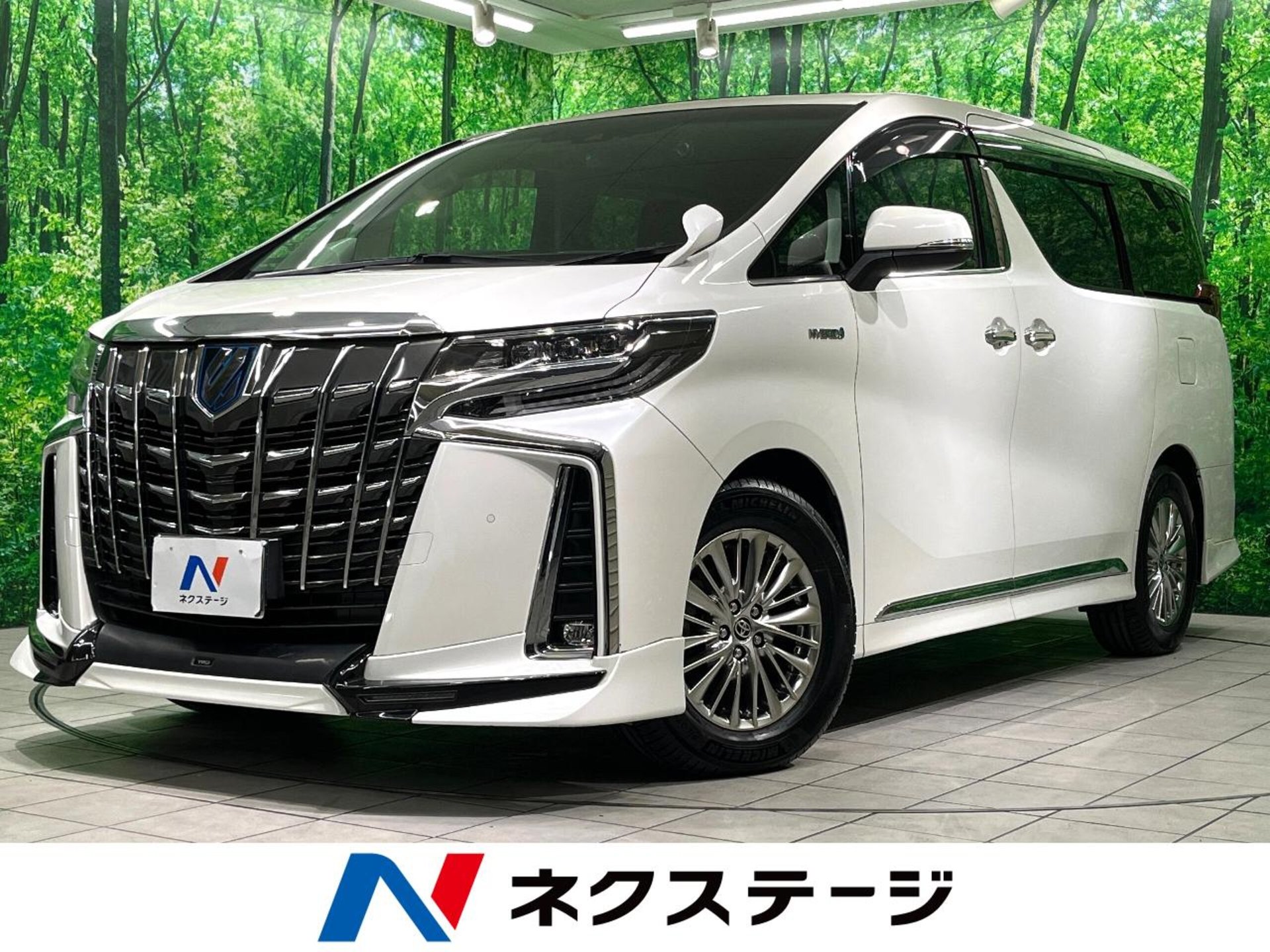 TOYOTA ALPHARD - View 1