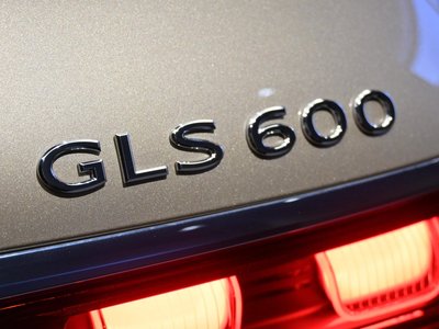 2025 Mercedes-BENZ GLS MAYBACH — миниатюра 30