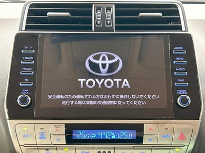 TOYOTA LAND CRUISER PRADO - 5
