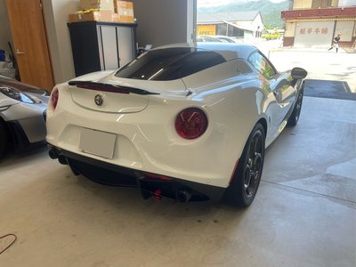 2015 ALFA Romeo 4C 照片 8