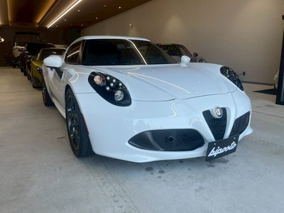 2015 ALFA Romeo 4C 照片 3