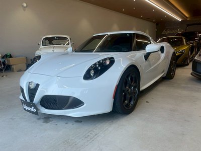 2015 ALFA Romeo 4C 照片 5