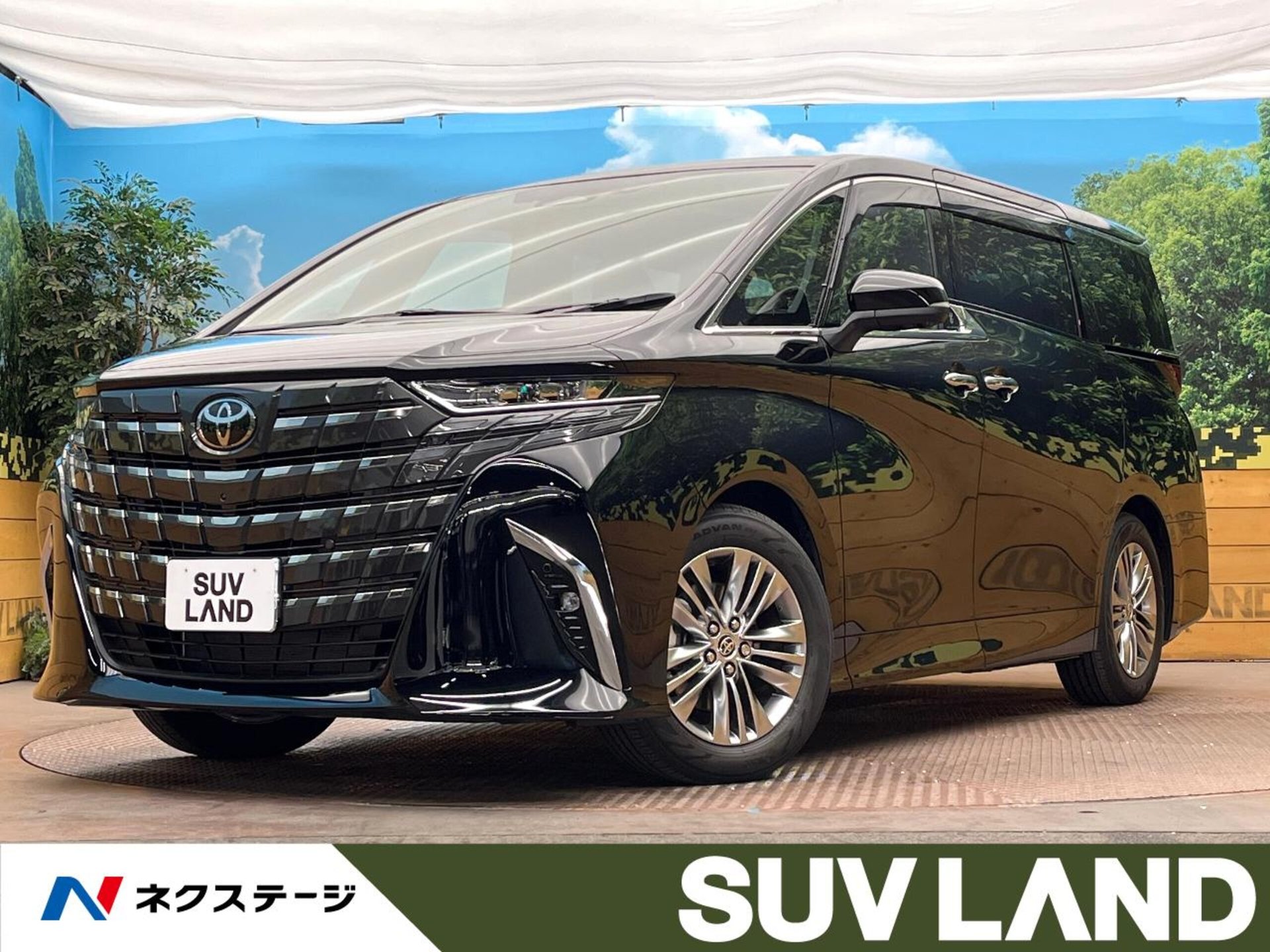 TOYOTA ALPHARD - View 1