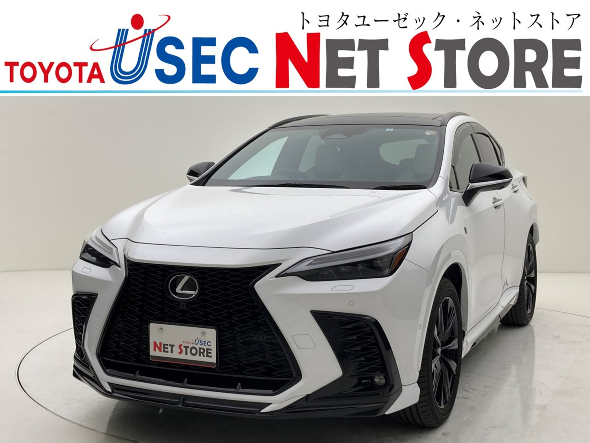 LEXUS NX - View 1