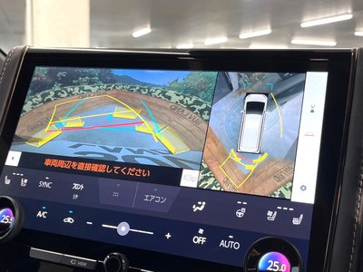 2025 TOYOTA ALPHARD 照片 4