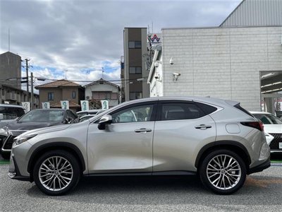 LEXUS NX - 6