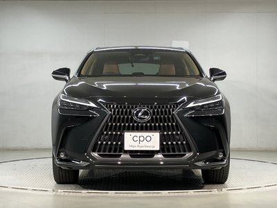 LEXUS NX - 3