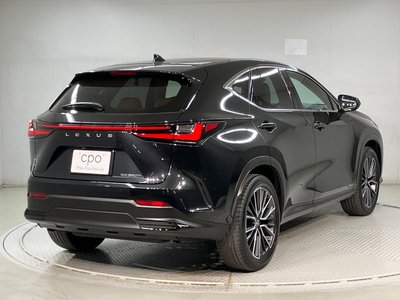 LEXUS NX - 6