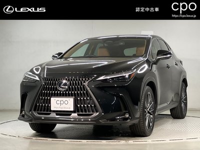 LEXUS NX - 1