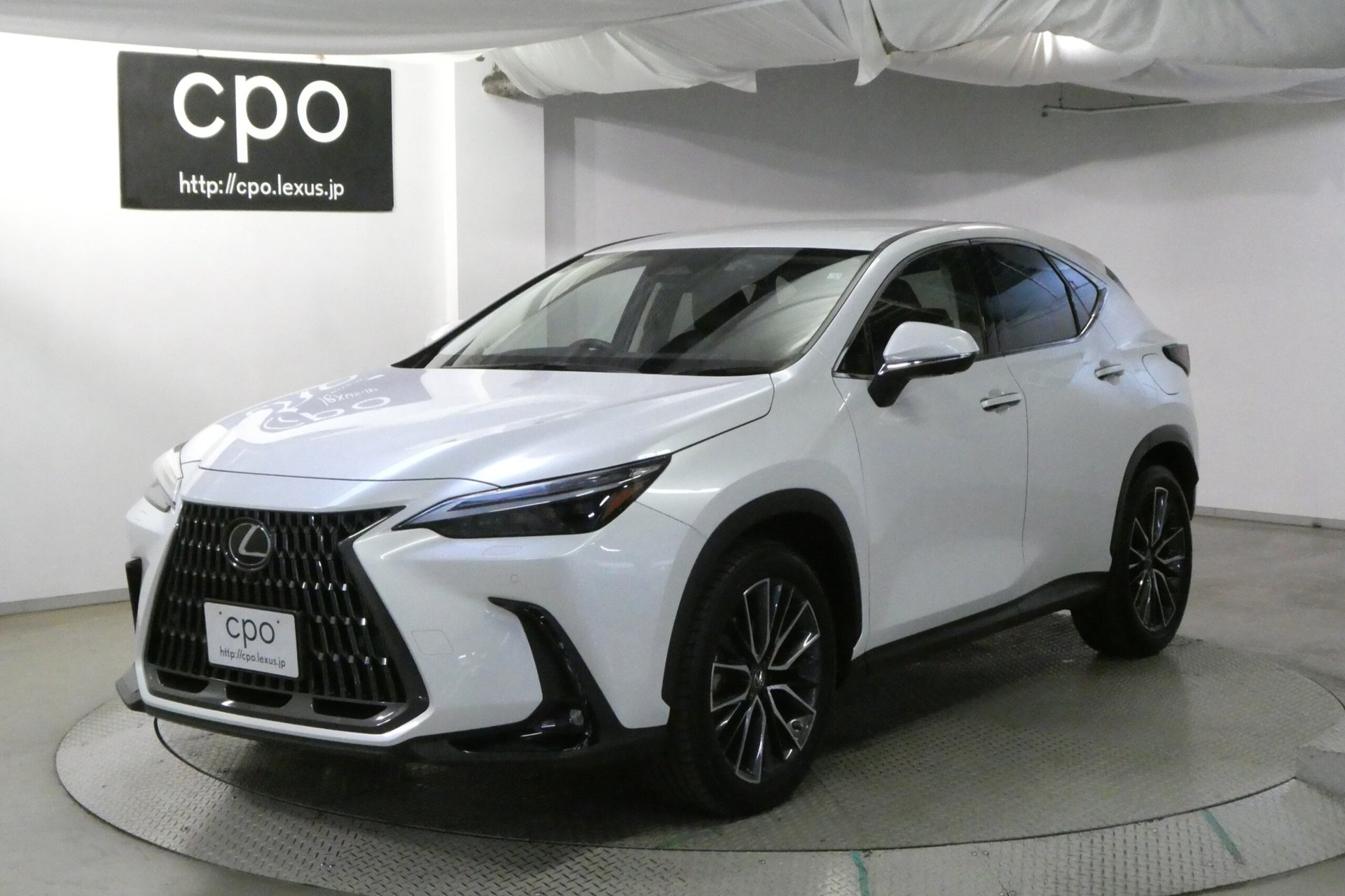 LEXUS NX - View 1