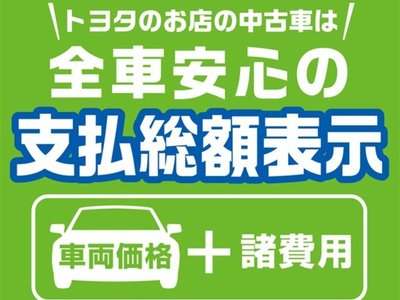 TOYOTA ALPHARD - 2