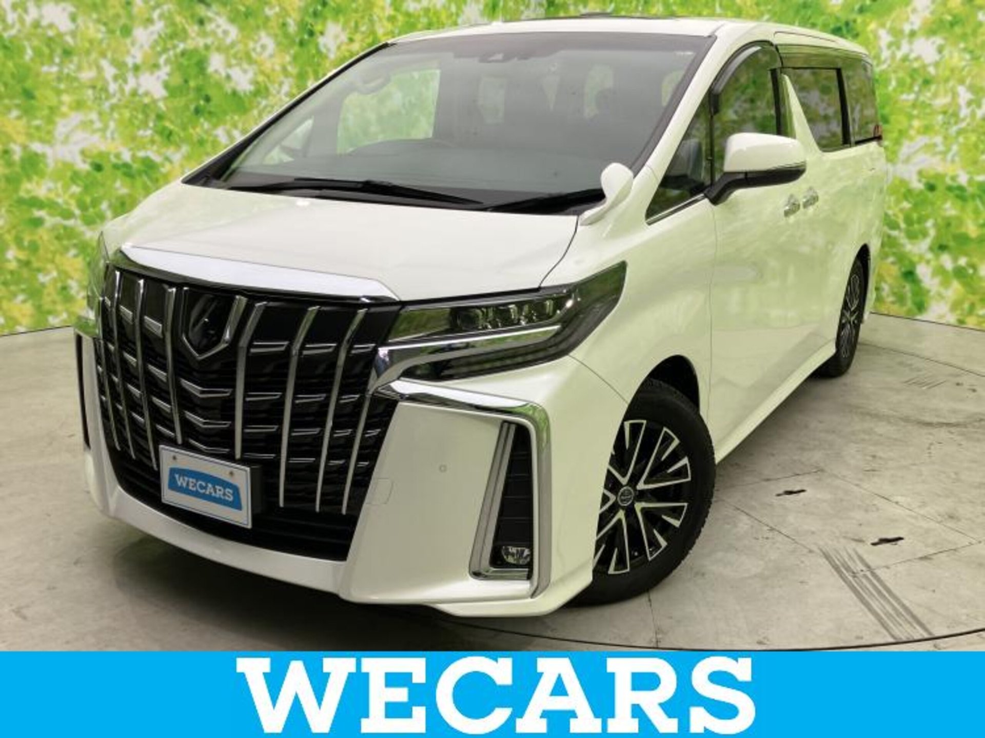 TOYOTA ALPHARD - View 1